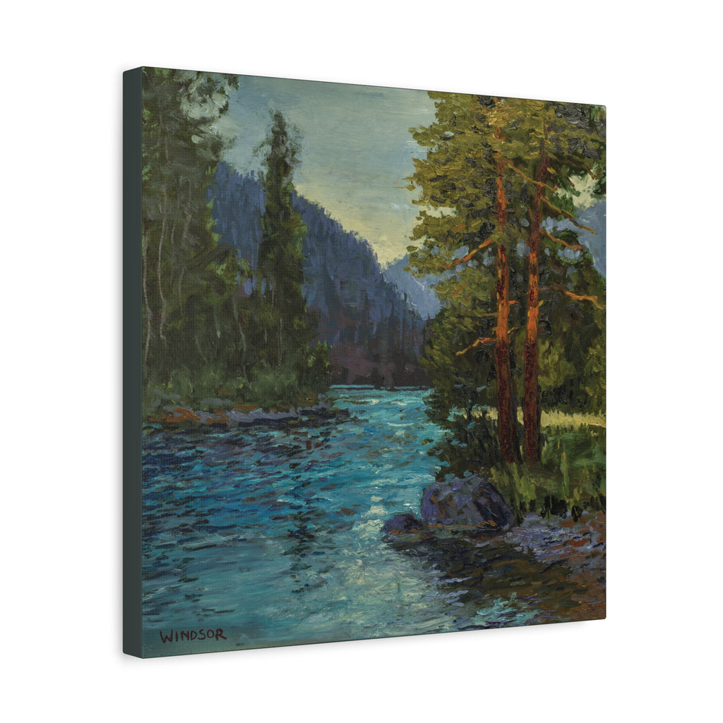 River and Pines Canvas Print