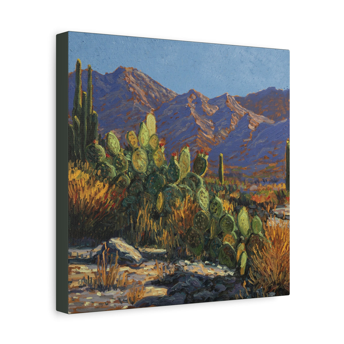 My Desert Family — Canvas Print