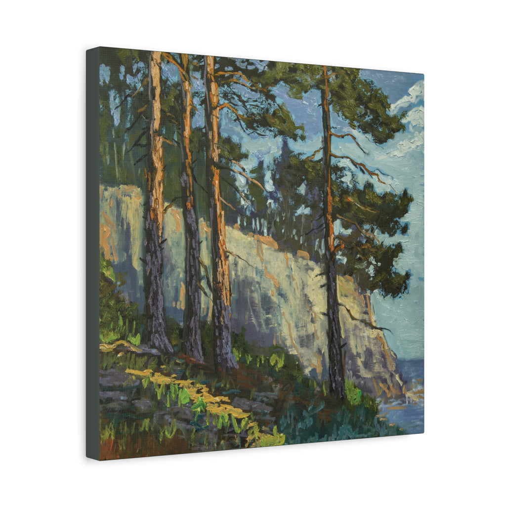 Coastal Pines Canvas Print