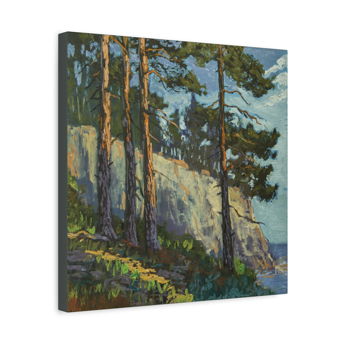 Coastal Pines Canvas Print