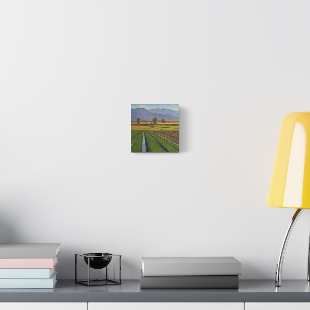 Agricultural Landscape Matte Canvas Print — Stretched Farm Field Wall Art