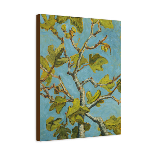 Baby Fig Leaves Matte Canvas Wall Art — Stretched 1.25"
