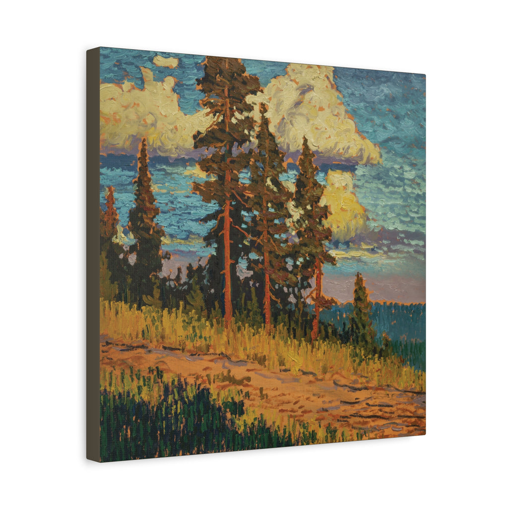 Golden Pines Canvas Print