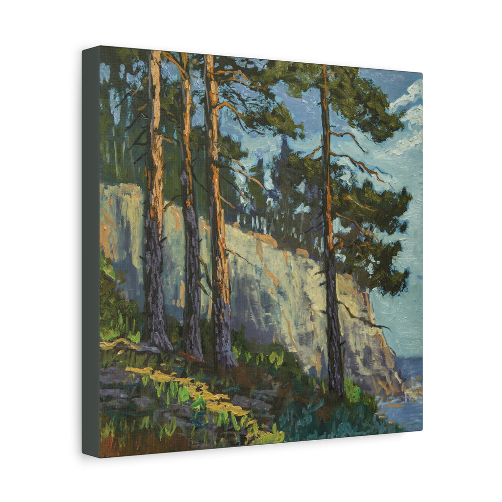 Coastal Pines Canvas Print