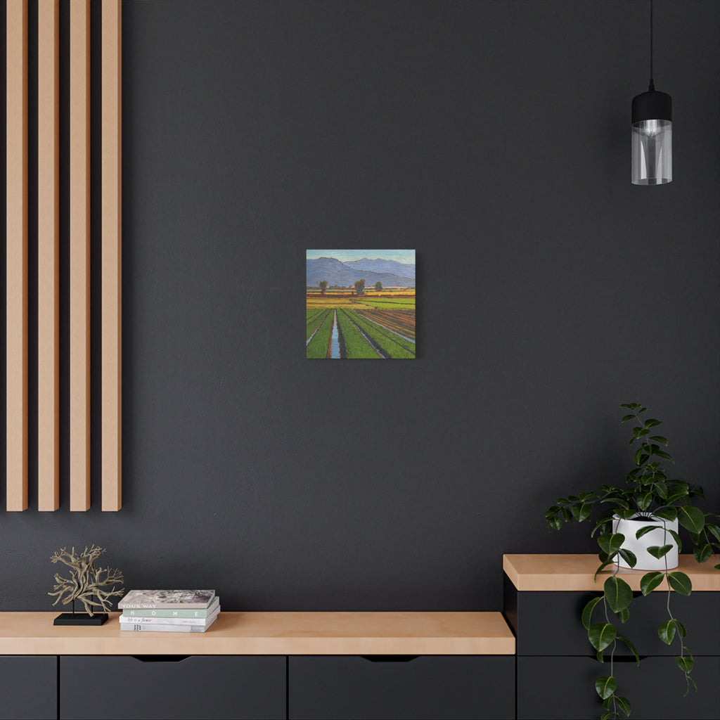 Agricultural Landscape Matte Canvas Print — Stretched Farm Field Wall Art