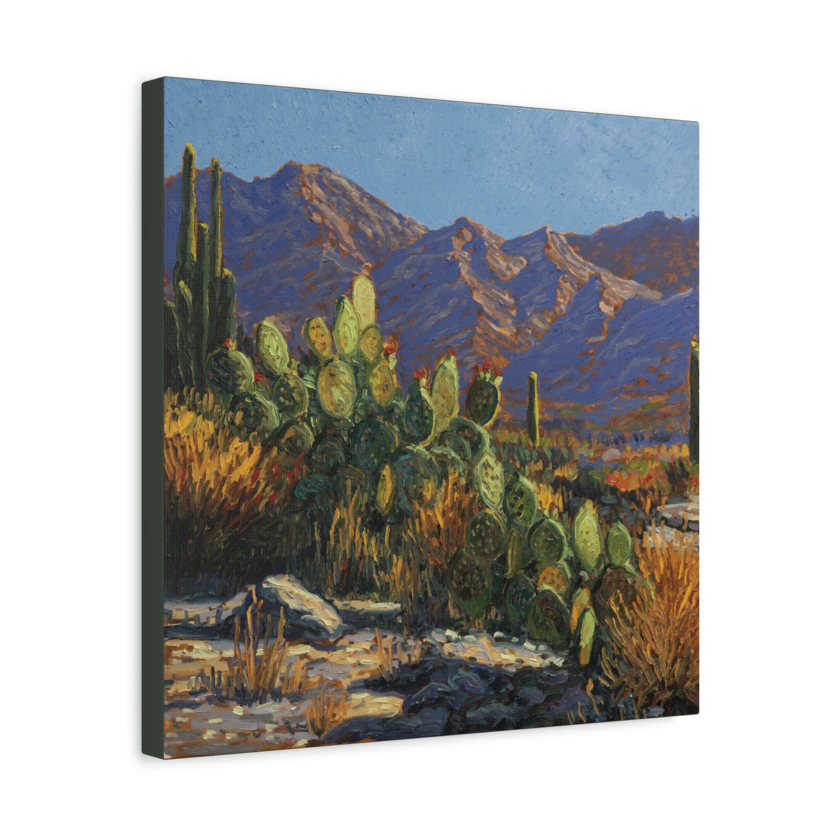 My Desert Family — Canvas Print