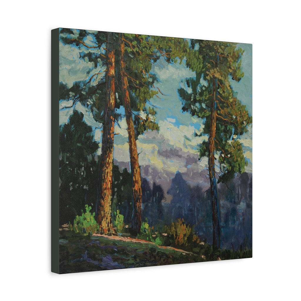 Sunlit Pines Canvas Print