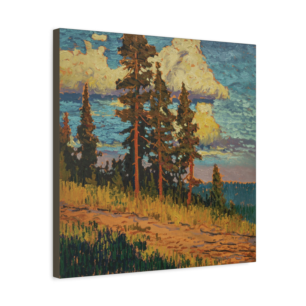 Golden Pines Canvas Print