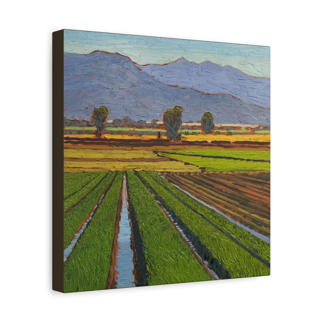Agricultural Landscape Matte Canvas Print — Stretched Farm Field Wall Art