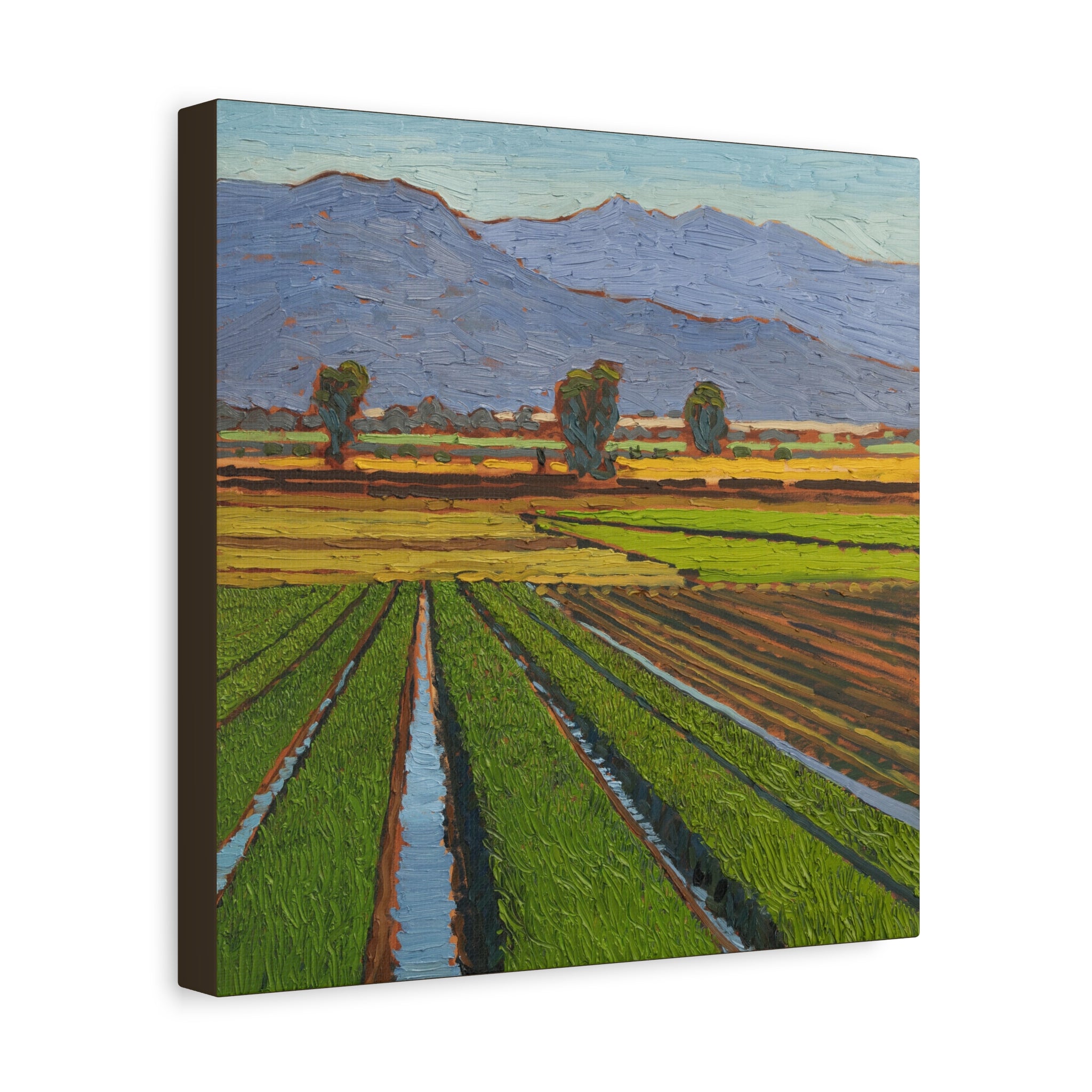 Agricultural Landscape Matte Canvas Print — Stretched Farm Field Wall Art