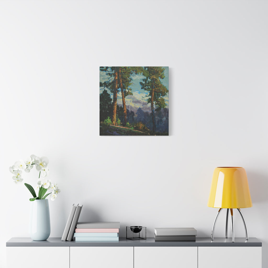 Sunlit Pines Canvas Print