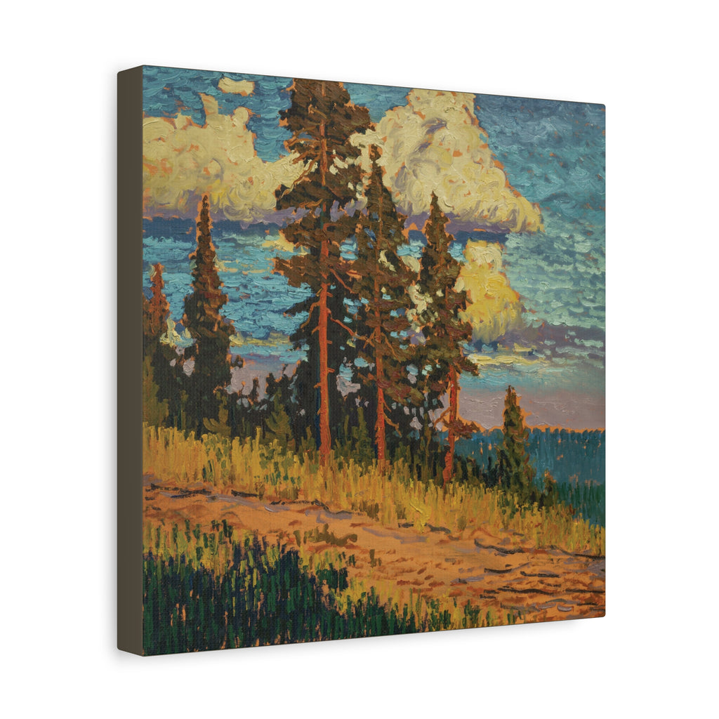 Golden Pines Canvas Print