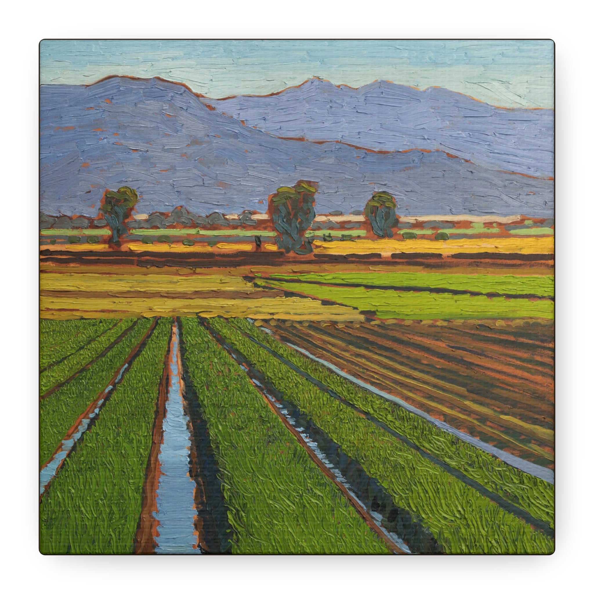 Agricultural Landscape Matte Canvas Print — Stretched Farm Field Wall Art