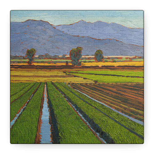 Agricultural Landscape Matte Canvas Print — Stretched Farm Field Wall Art