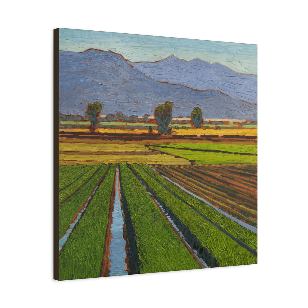 Agricultural Landscape Matte Canvas Print — Stretched Farm Field Wall Art