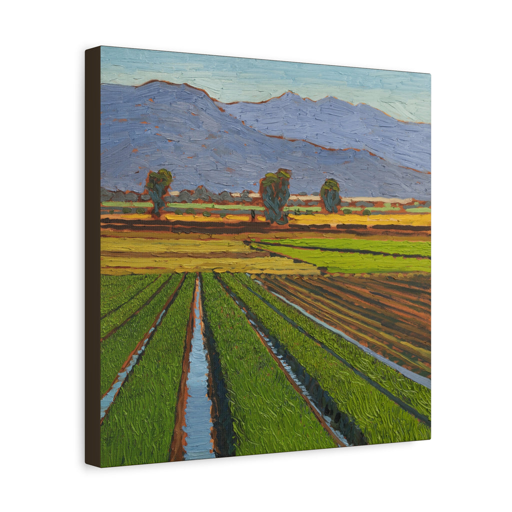 Agricultural Landscape Matte Canvas Print — Stretched Farm Field Wall Art