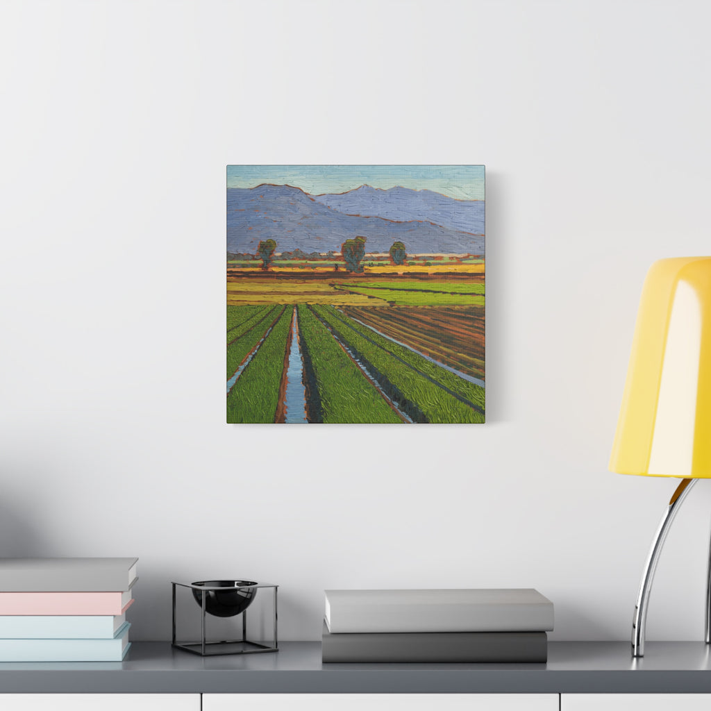 Agricultural Landscape Matte Canvas Print — Stretched Farm Field Wall Art
