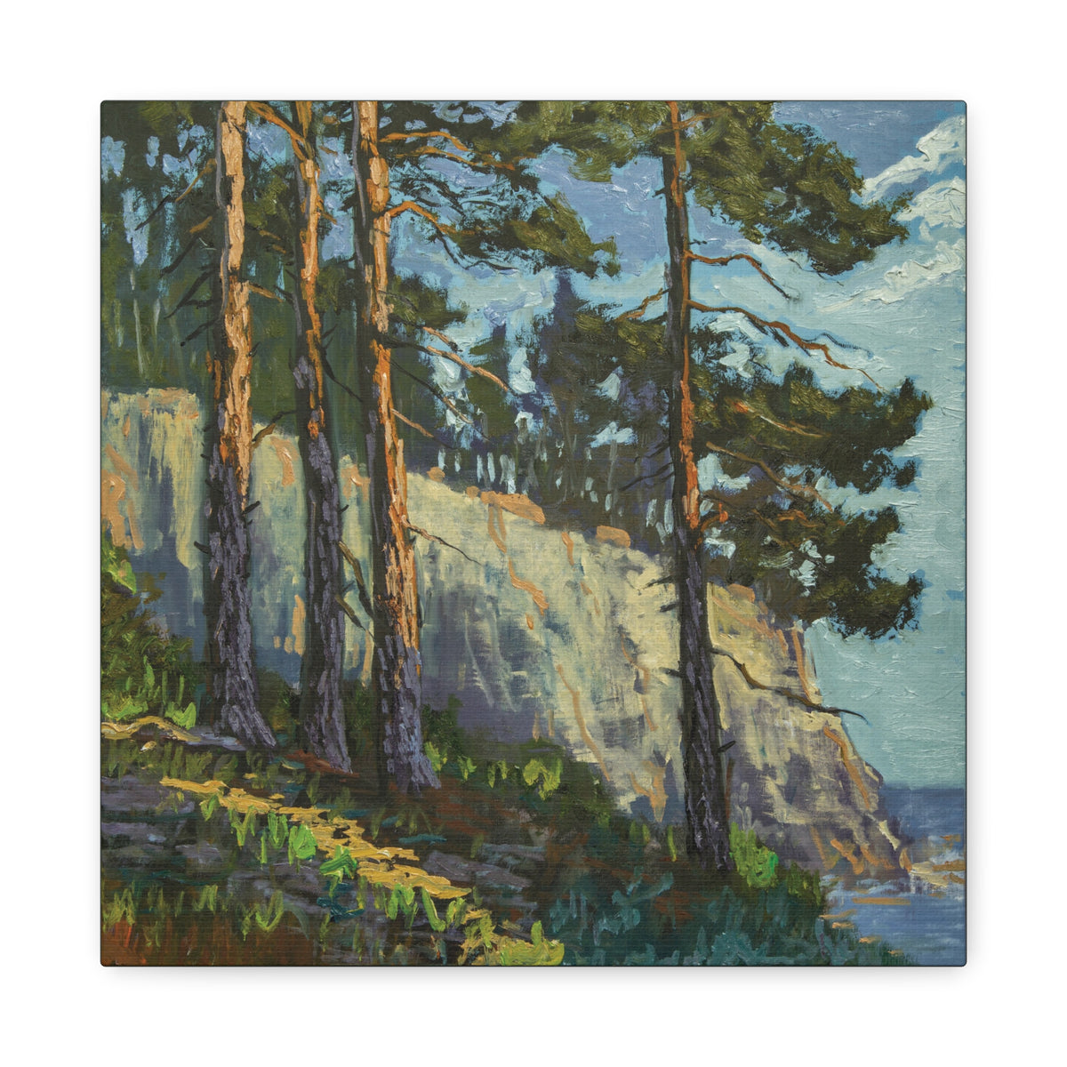 Coastal Pines Canvas Print