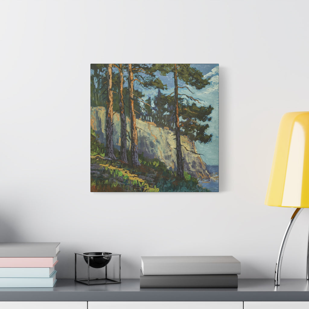 Coastal Pines Canvas Print