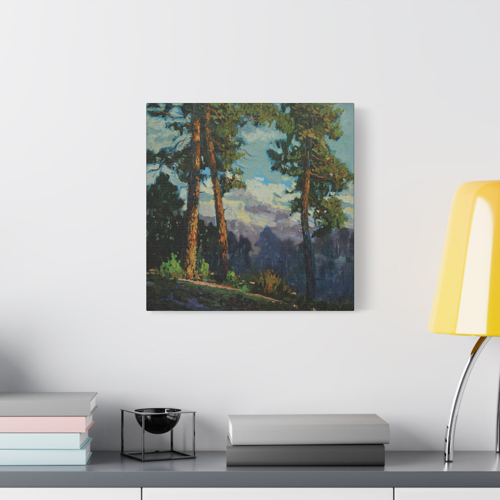 Sunlit Pines Canvas Print