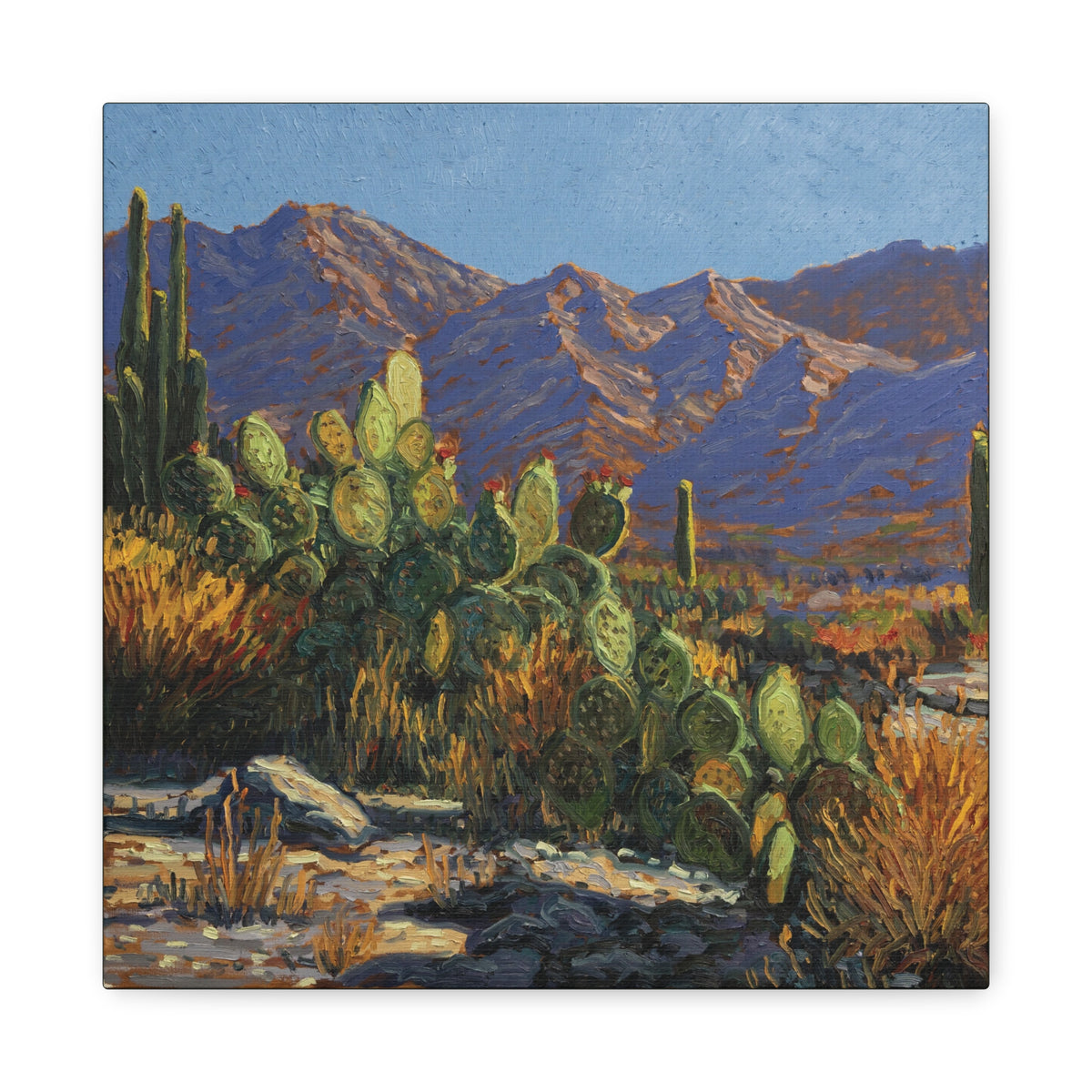 My Desert Family — Canvas Print