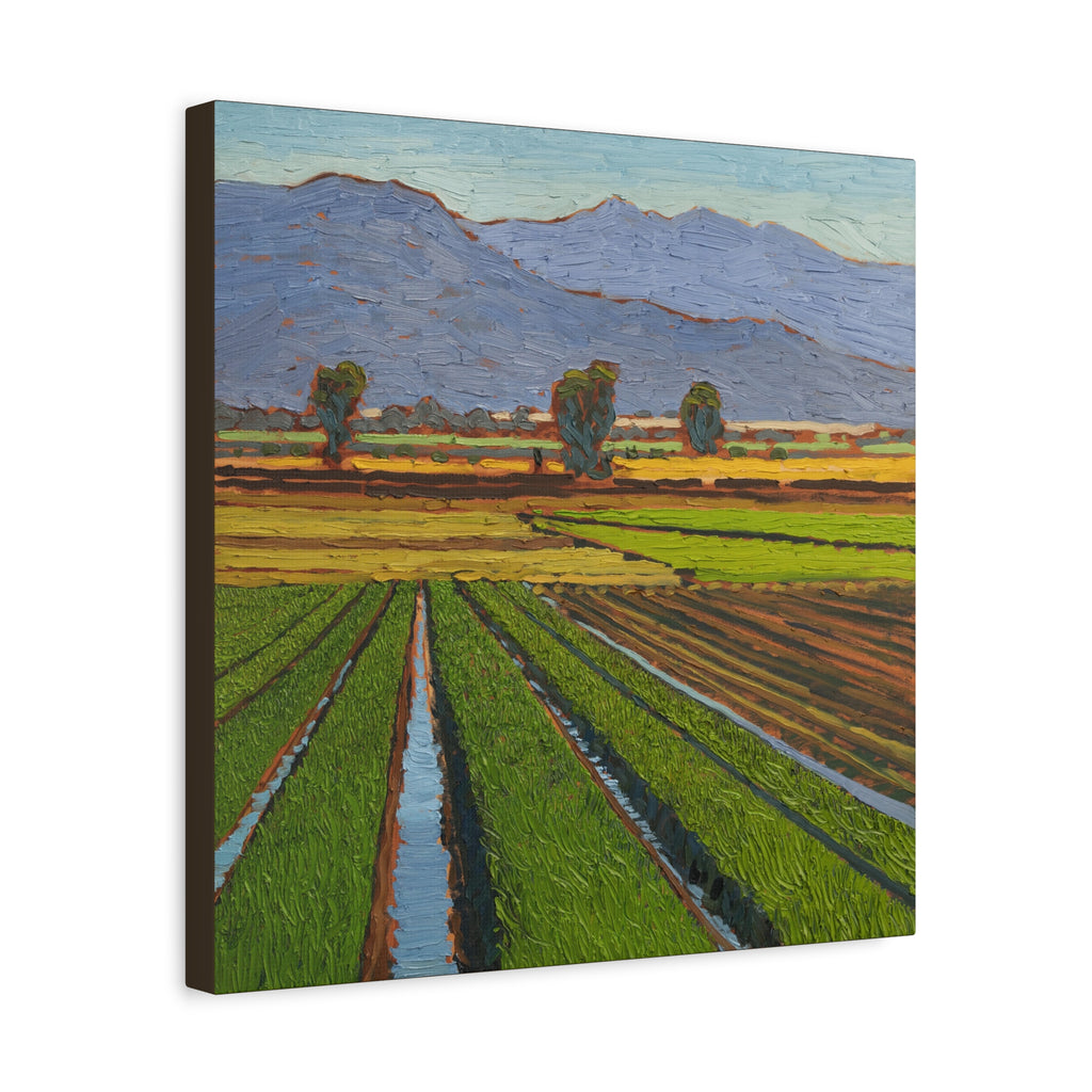 Agricultural Landscape Matte Canvas Print — Stretched Farm Field Wall Art