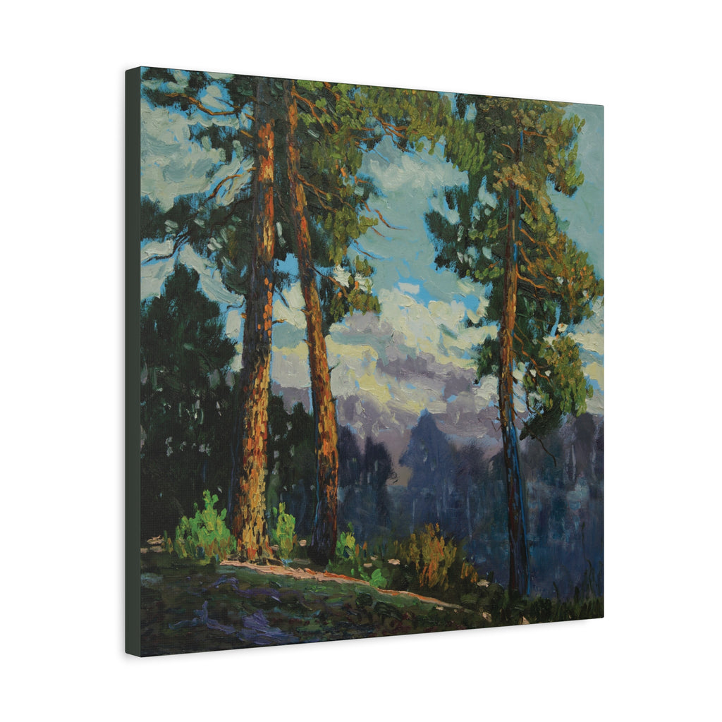 Sunlit Pines Canvas Print