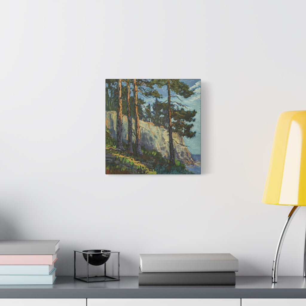 Coastal Pines Canvas Print