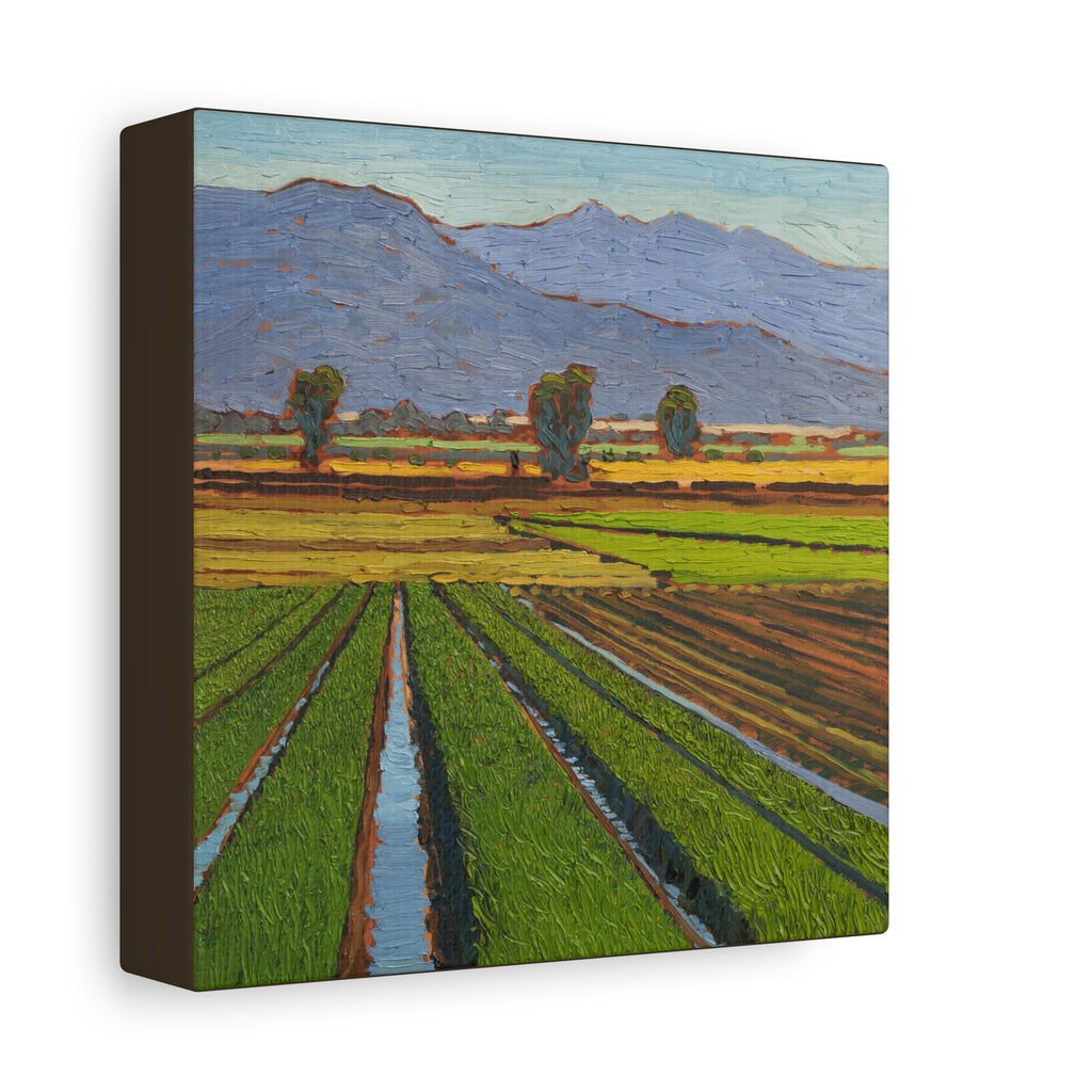 Agricultural Landscape Matte Canvas Print — Stretched Farm Field Wall Art