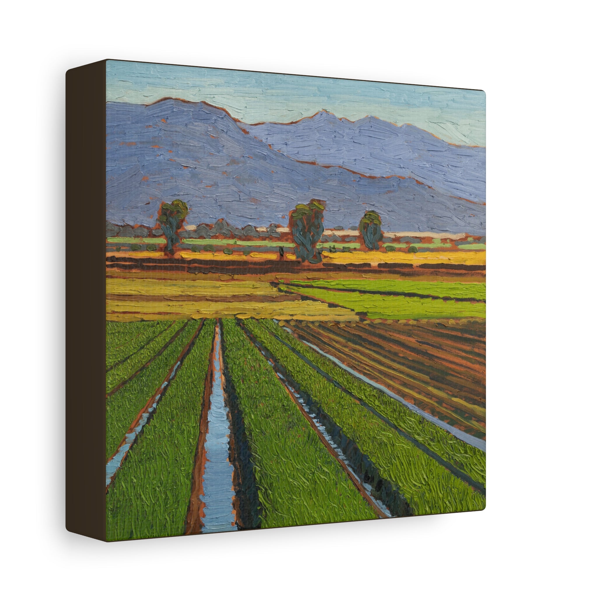 Agricultural Landscape Matte Canvas Print — Stretched Farm Field Wall Art