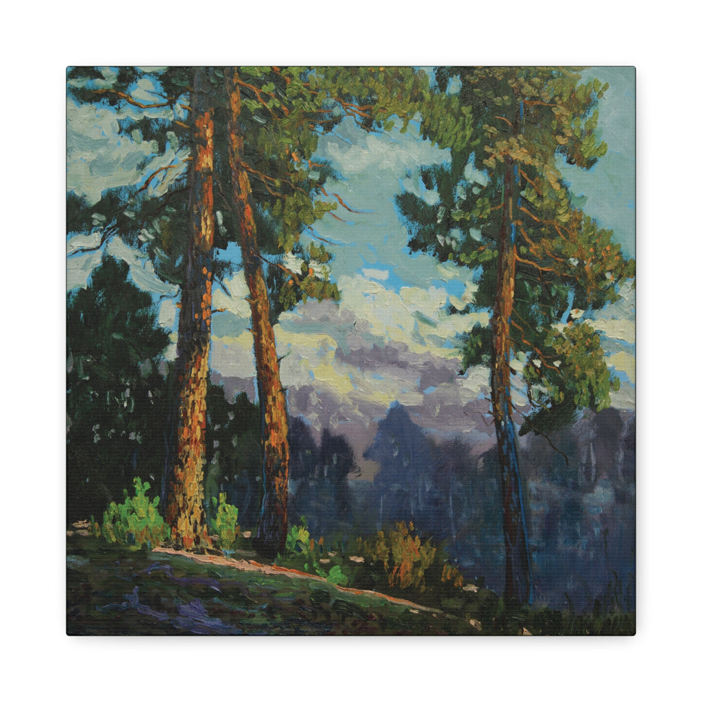 Sunlit Pines Canvas Print