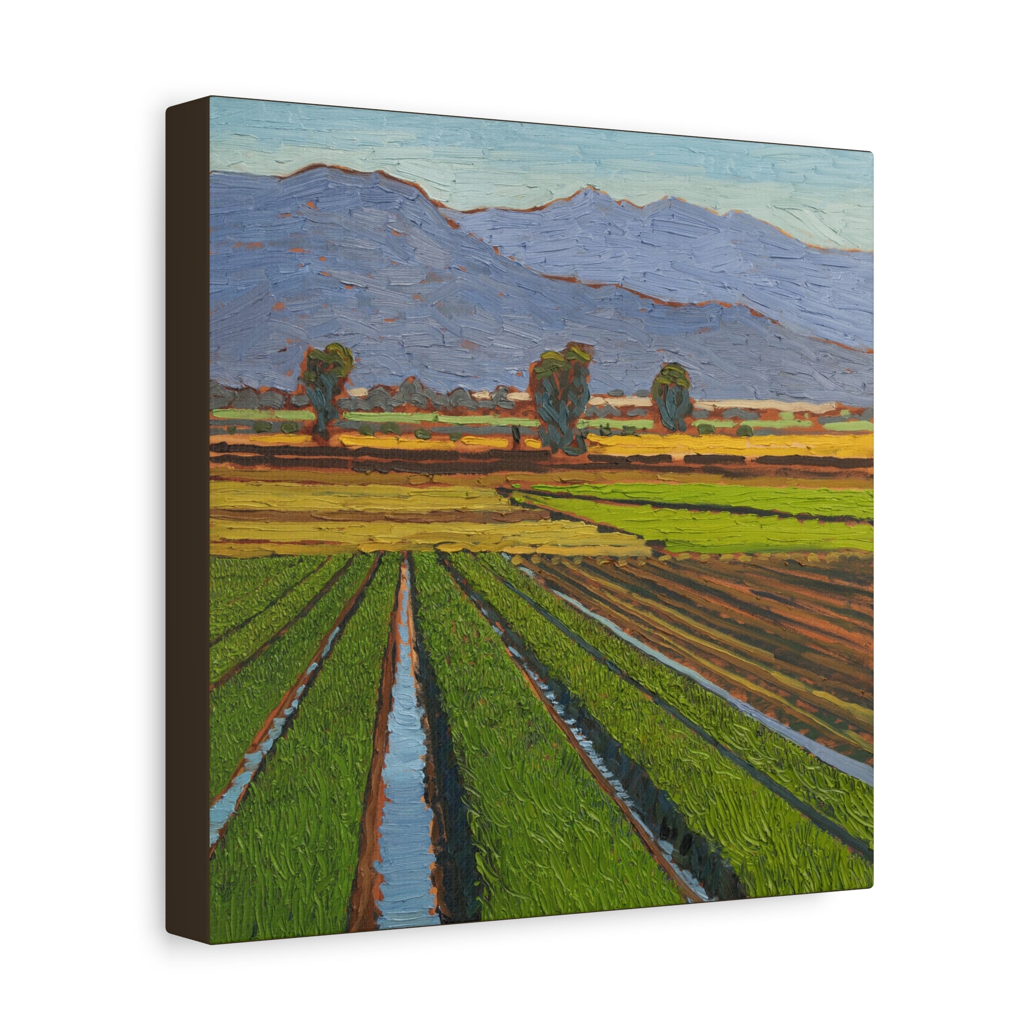 Agricultural Landscape Matte Canvas Print — Stretched Farm Field Wall Art