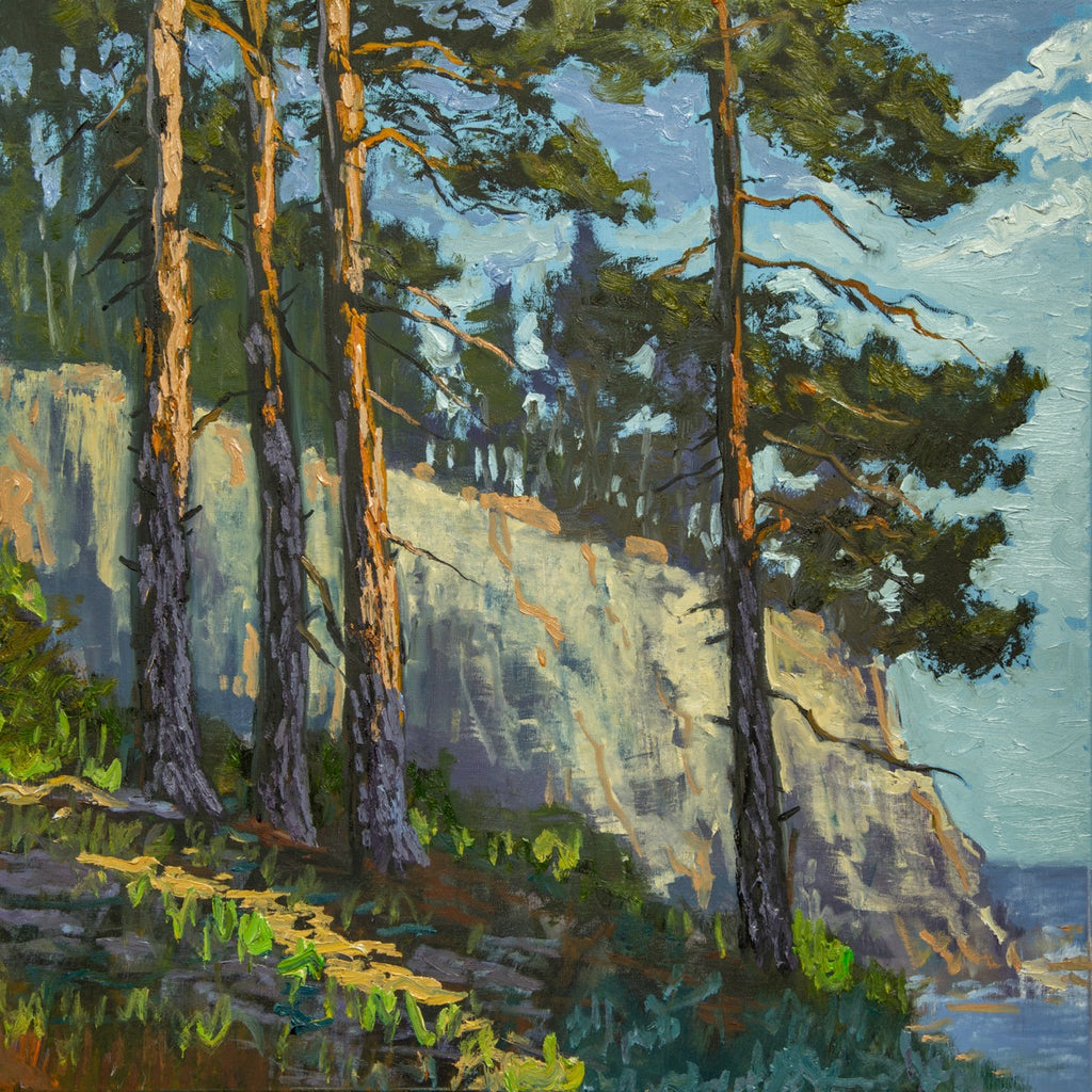 Pines by the Ocean