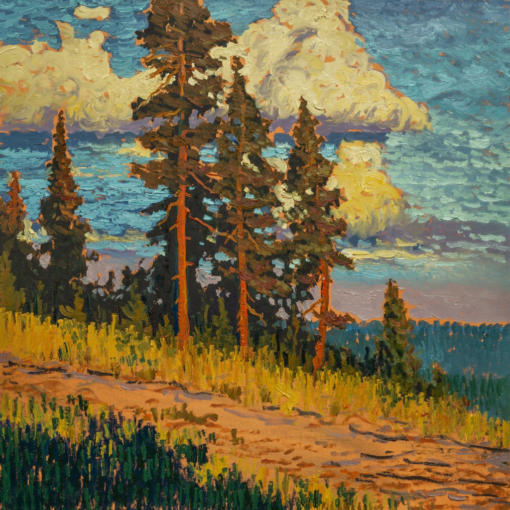 Front Light Pines