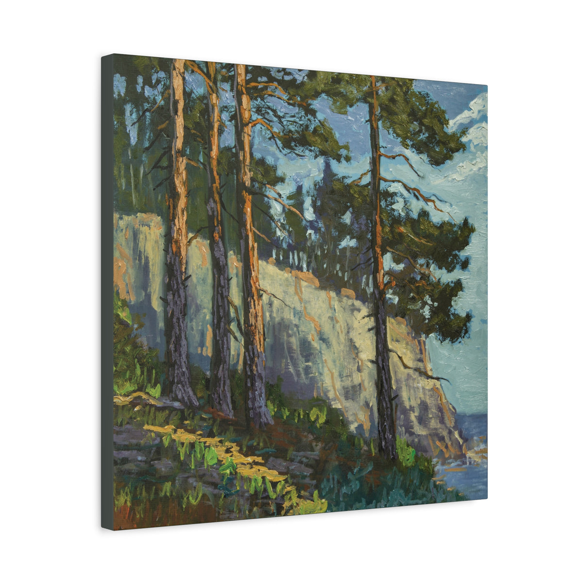 Coastal Pines Canvas Print