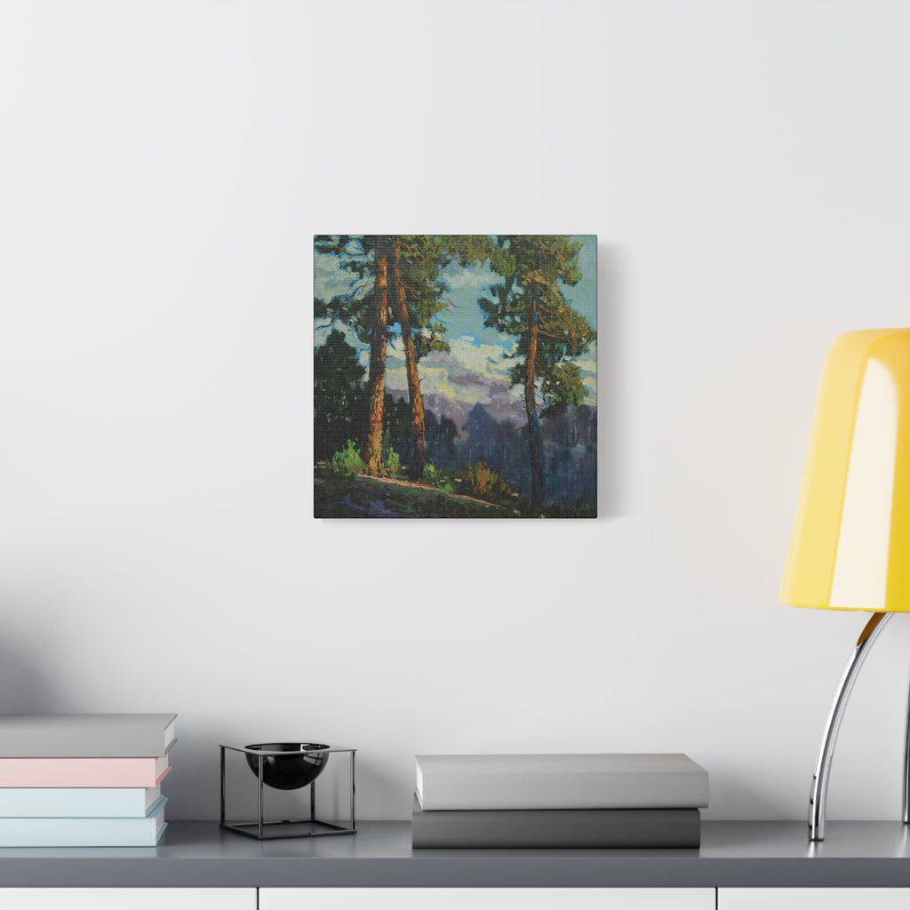 Sunlit Pines Canvas Print