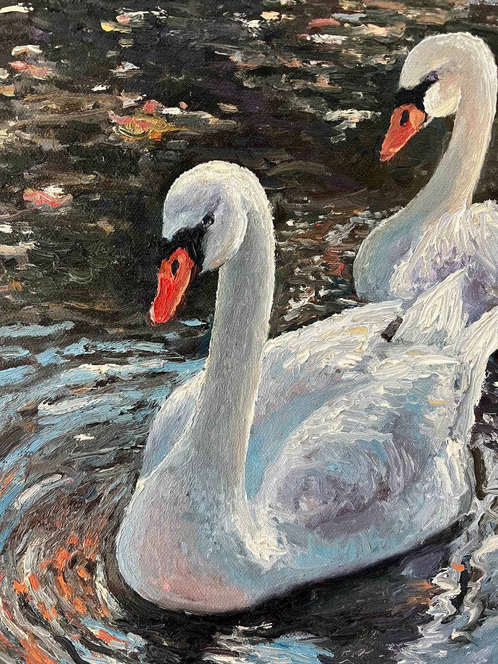 Two Swans