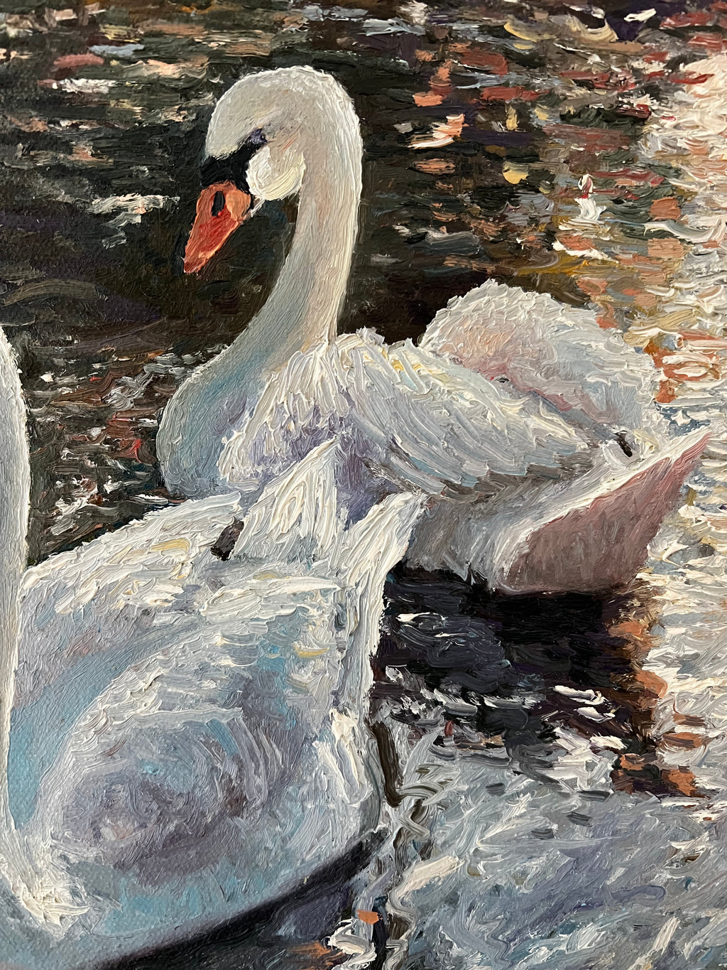 Two Swans