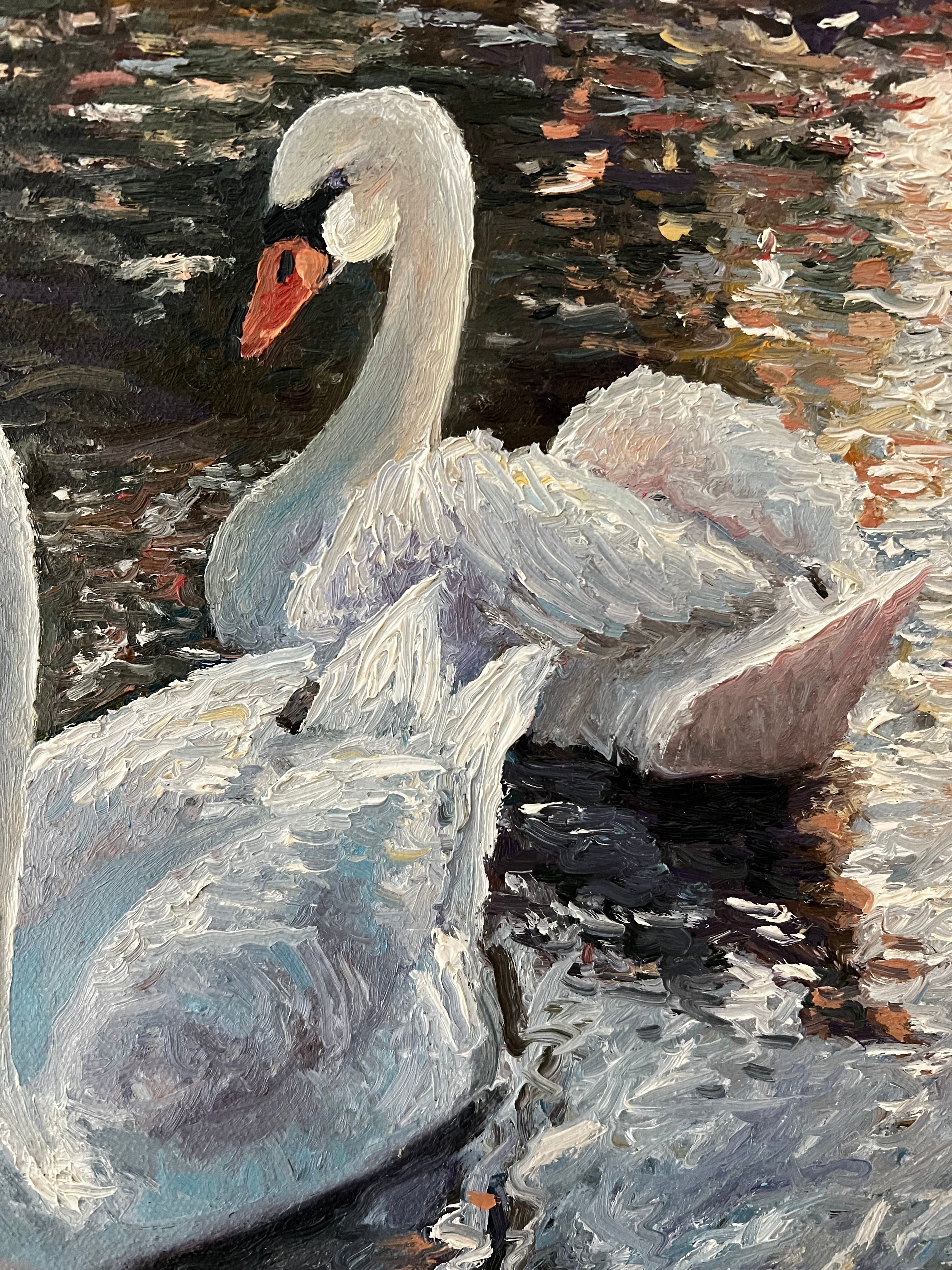 Two Swans