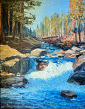 Split Creek Study
