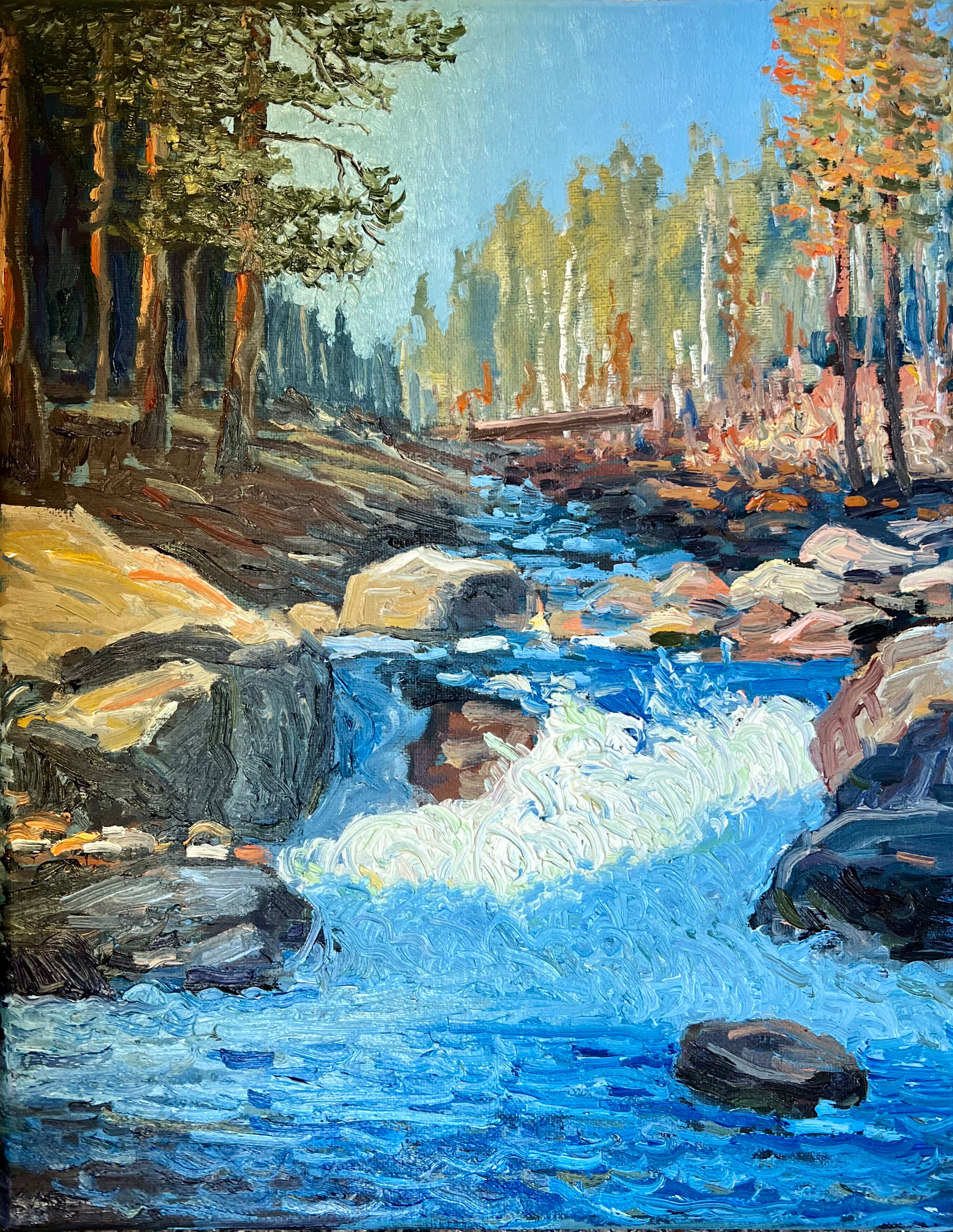 Split Creek Study