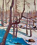 Melting Snow after Fire