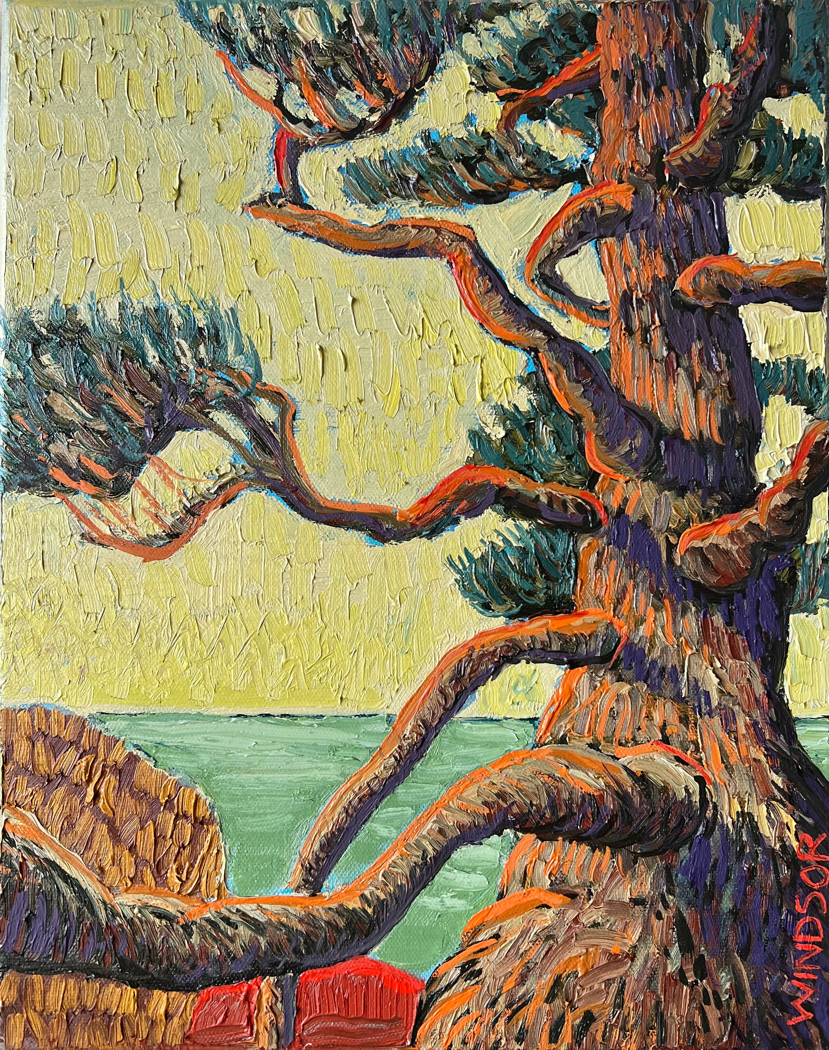 Twisted Pine at the Lake