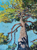 Looking Up — Tree Study
