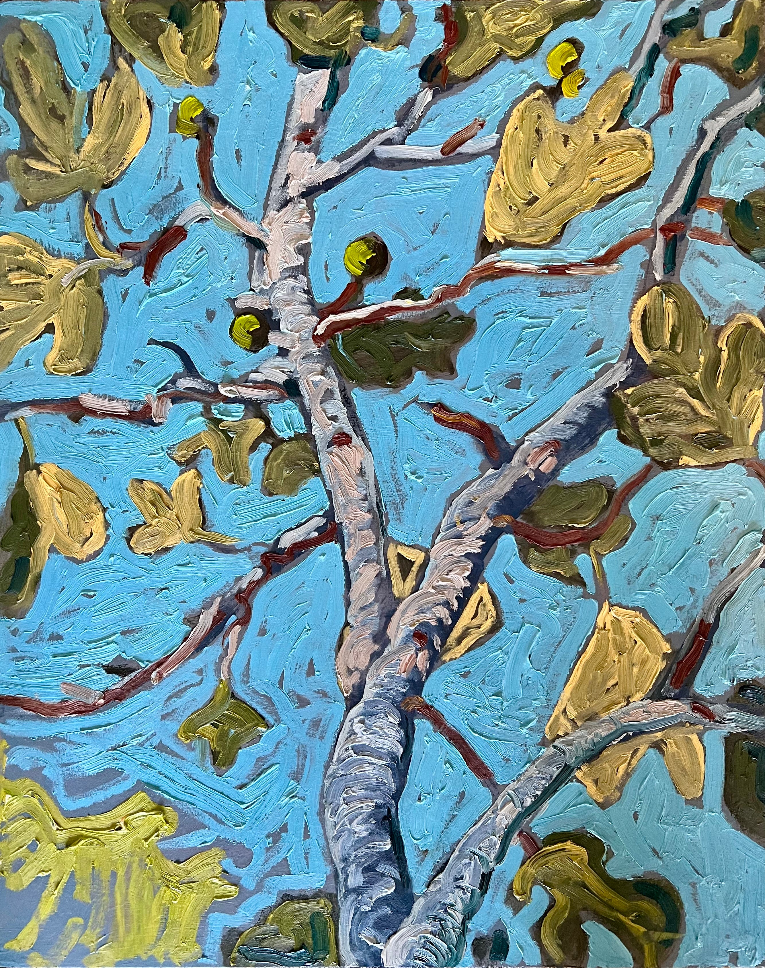 Fig Tree Study