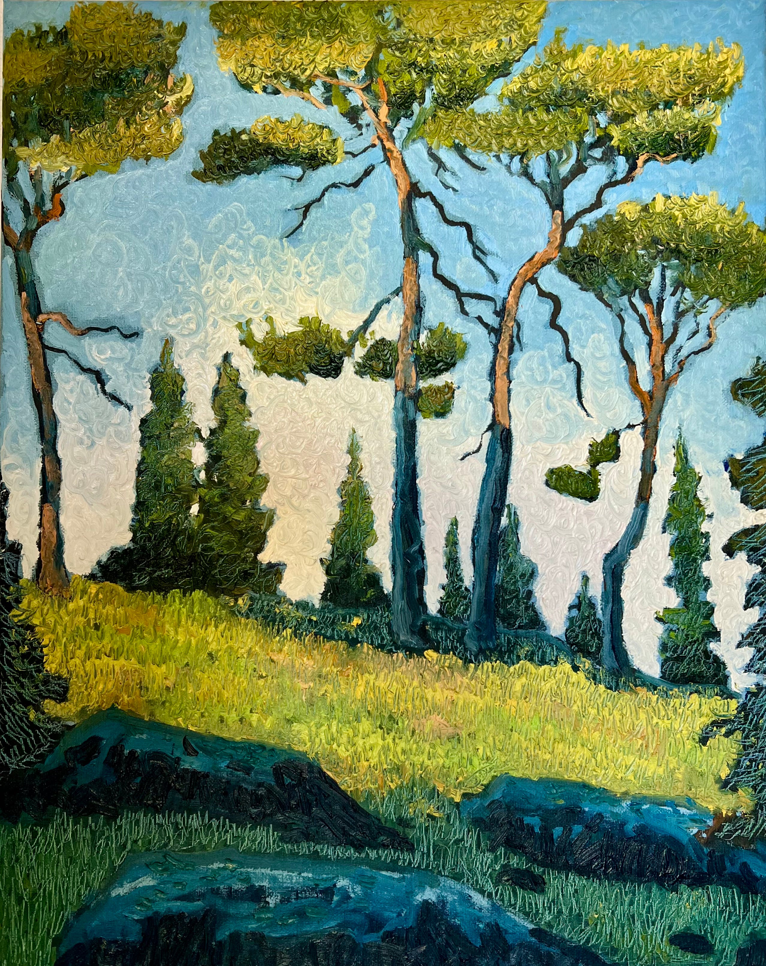 Mediterranean Pines
