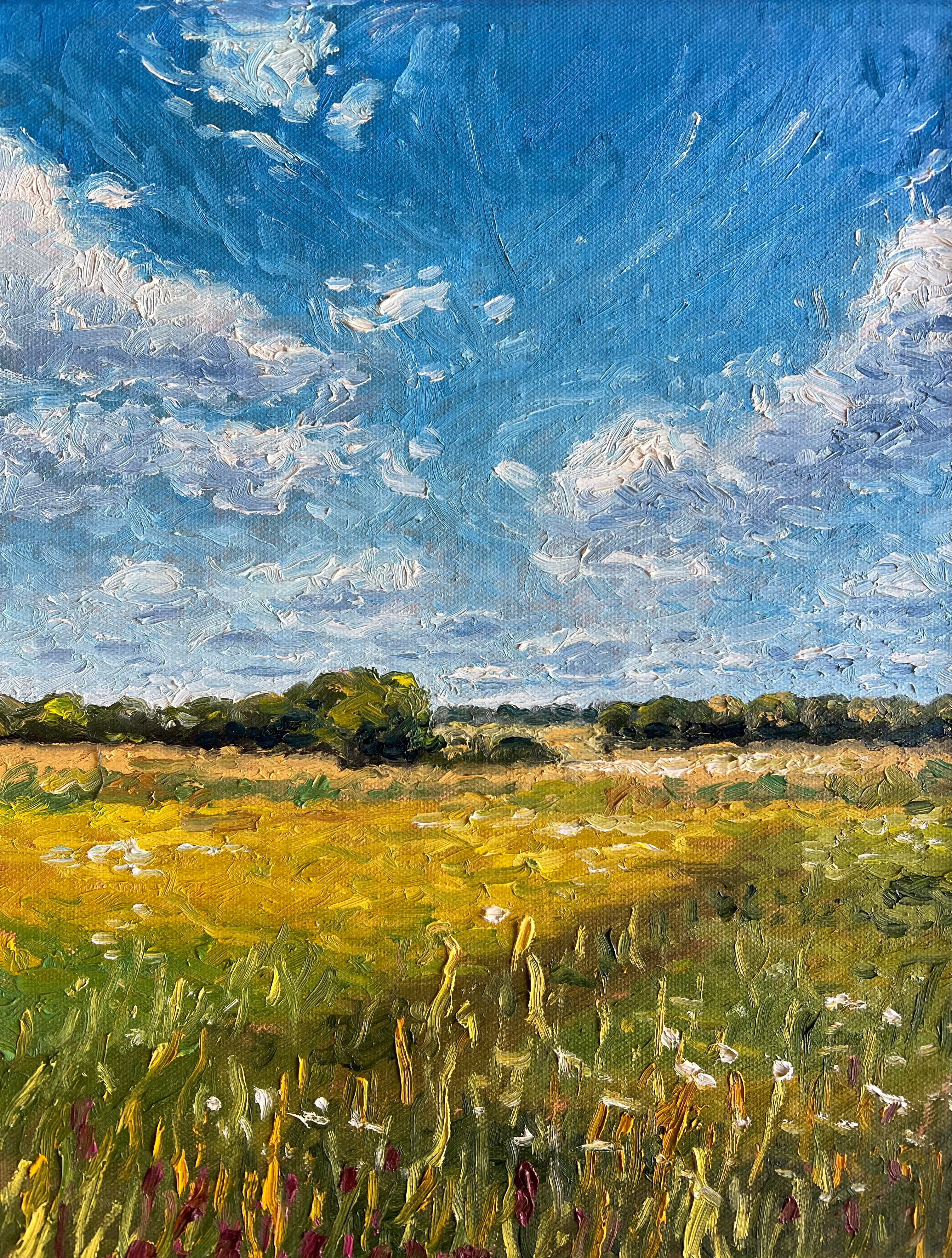 Summer Field – Original Oil Painting | Thomas Windsor Studio