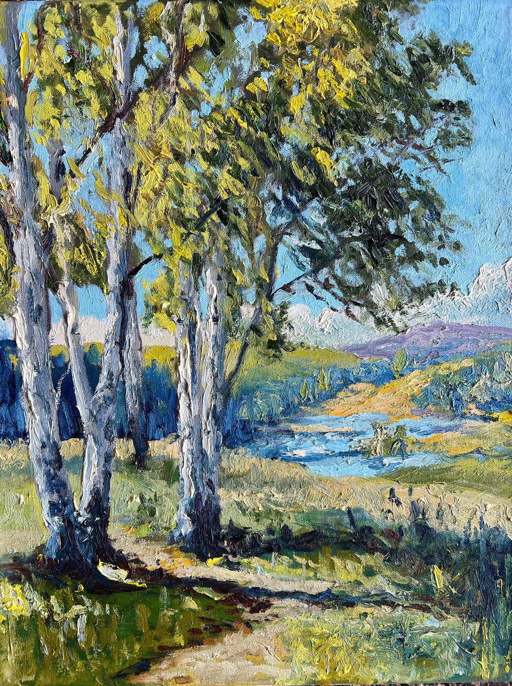 Cottonwoods by the River