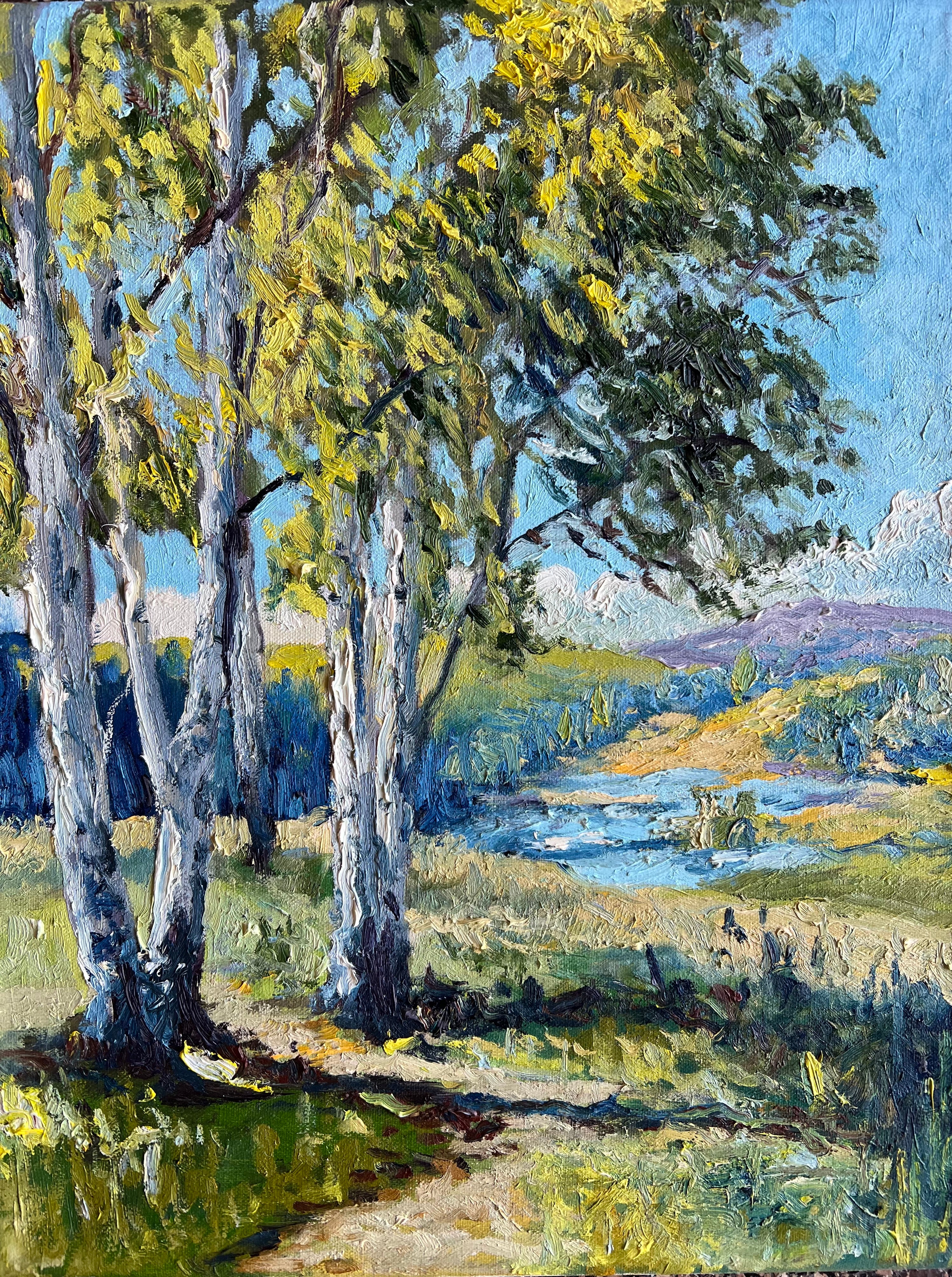 Cottonwoods by the River