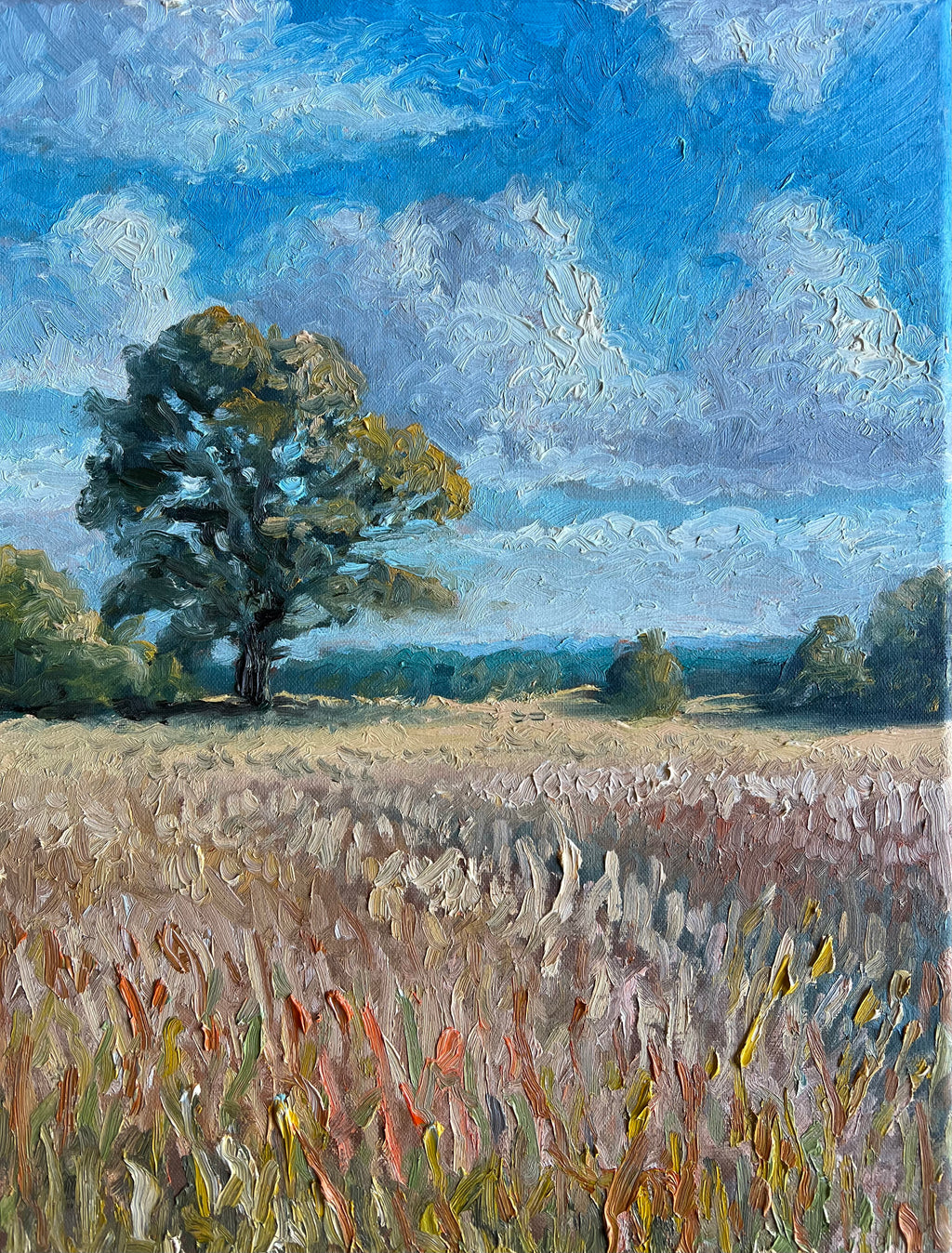Oak in the Wheat